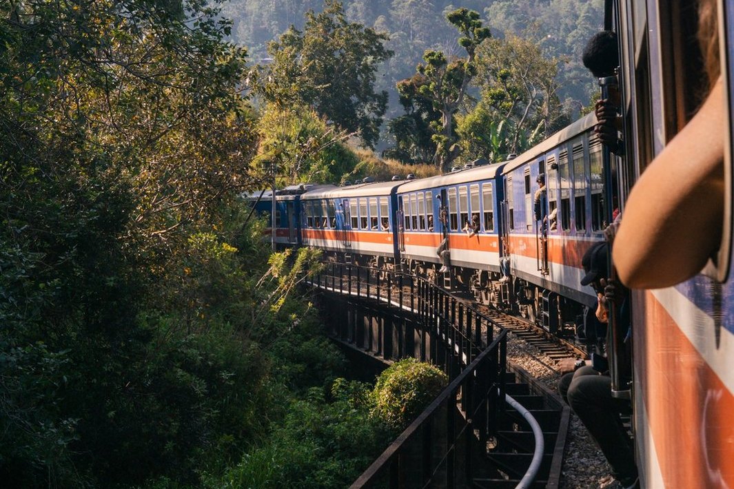 Vagones de un tren recorren una curva entre vegetación.